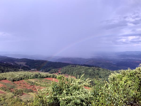 雨后