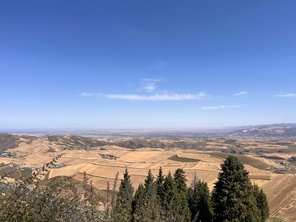 麦田