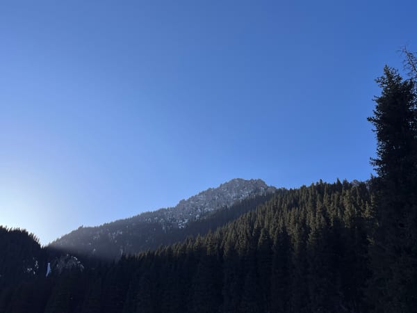 南山